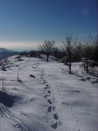 Attivazione Monte Alpe di Maissana di IZ1KSW